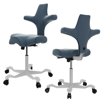 Hag Capisco 8106