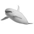 Косатка Orca - Kudim