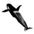 Косатка Orca - Kudim