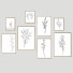 Pinturas Frame Wall 7 - framewall67