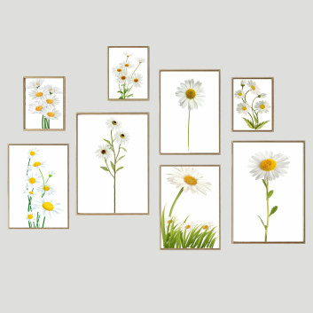 Pictures  Frame Wall 11 3D model
