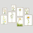 Bilder Frame Wall 11 - framewall67