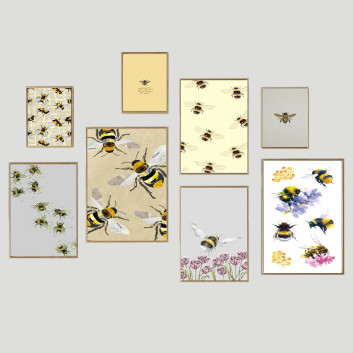 Frame Wall 15