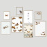 Kino Frame Wall 19 - framewall67