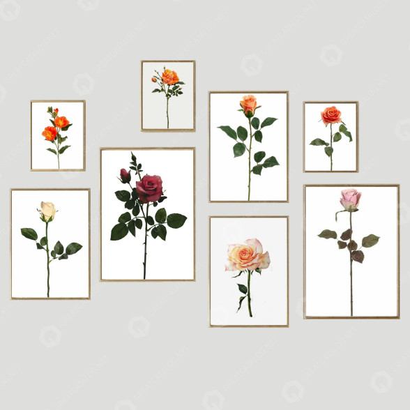 Photos Frame Wall 31 modèle 3D