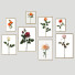 Photos Frame Wall 31 - framewall67
