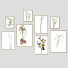 Pinturas Frame Wall 34 - framewall67