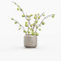 Букет Plant 10 - vizz.n3d