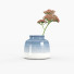 Ваза та рослина Ceramic Blue - vizz.n3d