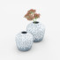 Вазы и растение Ceramic Gray - vizz.n3d