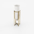 Ваза With Golden Stand - vizz.n3d