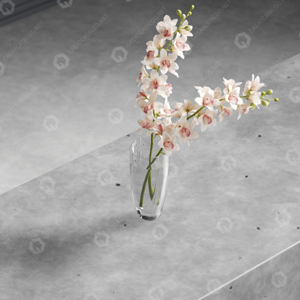Ramo Orquídea Modelo 3D