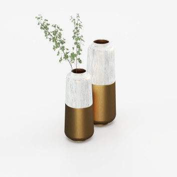 Вази та рослина Gold and Gray