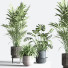 Pots de fleurs Ensemble de plantes d'intérieur 34 - nasrinrad
