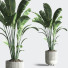 Pots de fleurs Ensemble de plantes d'intérieur 34 - nasrinrad