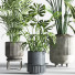 Pots de fleurs Ensemble de plantes d'intérieur 34 - nasrinrad