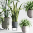 Pots de fleurs Ensemble de plantes d'intérieur 34 - nasrinrad