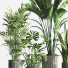 Pots de fleurs Ensemble de plantes d'intérieur 34 - nasrinrad