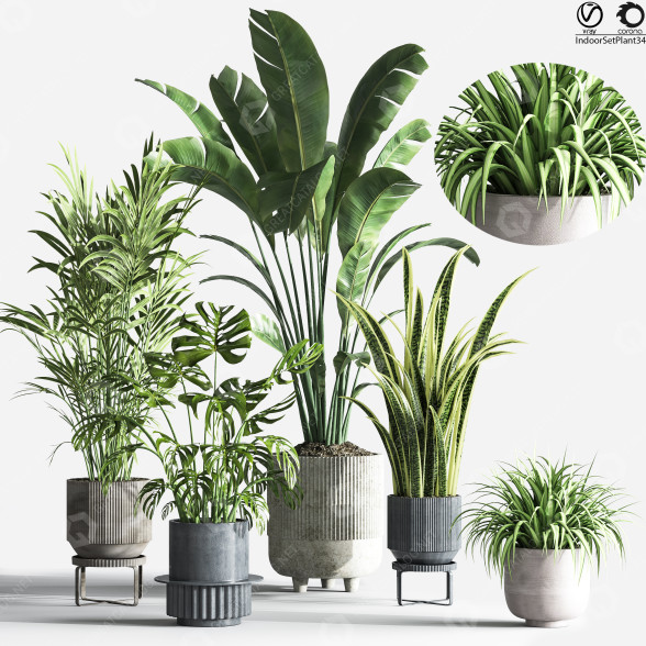 Pots de fleurs Ensemble de plantes d'intérieur 34 modèle 3D
