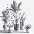 Pots de fleurs Ensemble de plantes d'intérieur 34 - nasrinrad