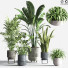 Pots de fleurs Ensemble de plantes d'intérieur 34 - nasrinrad