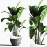 Pots de fleurs Ensemble intérieur 23 - nasrinrad