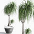 Pots de fleurs Ensemble intérieur 23 - nasrinrad