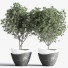 Pots de fleurs Ensemble intérieur 23 - nasrinrad