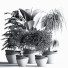 Pots de fleurs Ensemble intérieur 23 - nasrinrad
