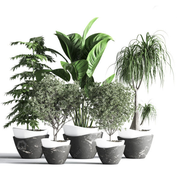 Pots de fleurs Ensemble intérieur 23 modèle 3D