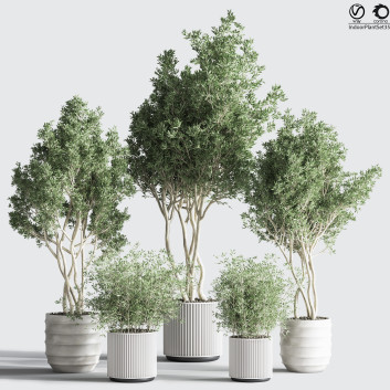 Pots de fleurs  Ensemble de plantes d'intérieur 35 Modèle 3D