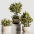 Pots de fleurs Ensemble de plantes d'intérieur 36 - nasrinrad