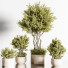 Pots de fleurs Ensemble de plantes d'intérieur 36 - nasrinrad