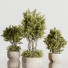 Pots de fleurs Ensemble de plantes d'intérieur 36 - nasrinrad