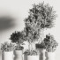 Pots de fleurs Ensemble de plantes d'intérieur 36 - nasrinrad