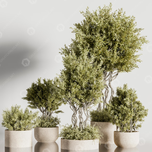Pots de fleurs Ensemble de plantes d'intérieur 36 modèle 3D