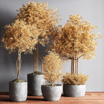 Pots de fleurs  Ensemble de plantes d'intérieur 15 avec feuilles d'automne Modèle 3D