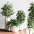 Pots de fleurs Ensemble de plantes d'intérieur 14 - nasrinrad