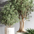 Pots de fleurs Ensemble de plantes d'intérieur 14 - nasrinrad