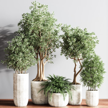 Pots de fleurs  Ensemble de plantes d'intérieur 14 Modèle 3D