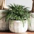 Pots de fleurs Ensemble de plantes d'intérieur 14 - nasrinrad
