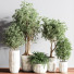 Pots de fleurs Ensemble de plantes d'intérieur 14 - nasrinrad