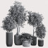 Pots de fleurs Ensemble de plantes d'intérieur 14 - nasrinrad