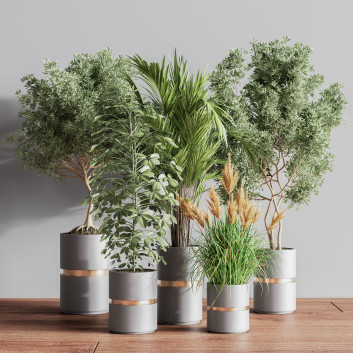 Pots de fleurs  Ensemble de plantes d'intérieur 16 Modèle 3D