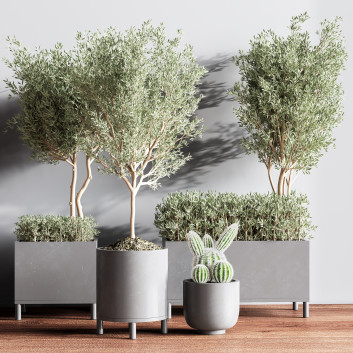 Pots de fleurs  Ensemble de plantes d'intérieur 17 Modèle 3D