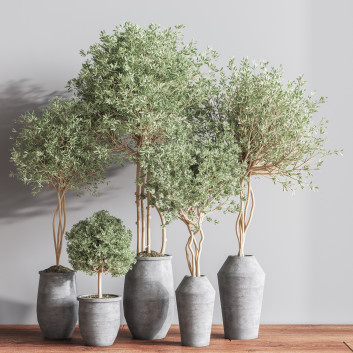 Pots de fleurs  Ensemble de plantes d'intérieur 18 Modèle 3D