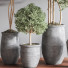 Blumentöpfe Innenset Zimmerpflanzen 18 - nasrinrad