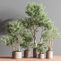 Pots de fleurs Ensemble de plantes d'intérieur 22 - nasrinrad
