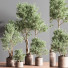 Pots de fleurs Ensemble de plantes d'intérieur 22 - nasrinrad