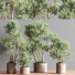 Pots de fleurs Ensemble de plantes d'intérieur 22 - nasrinrad